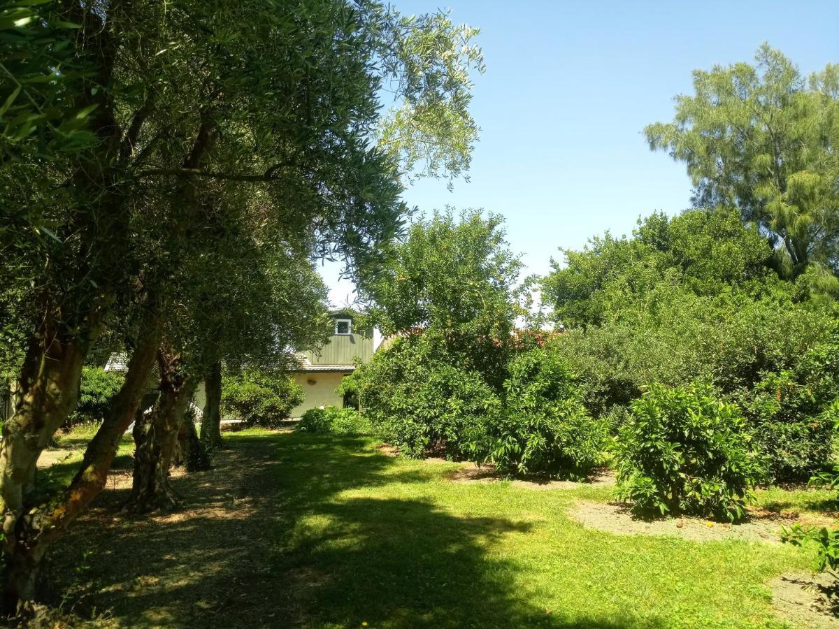 Bed and Breakfast Irongate Retreat Хейстингс Экстерьер фото
